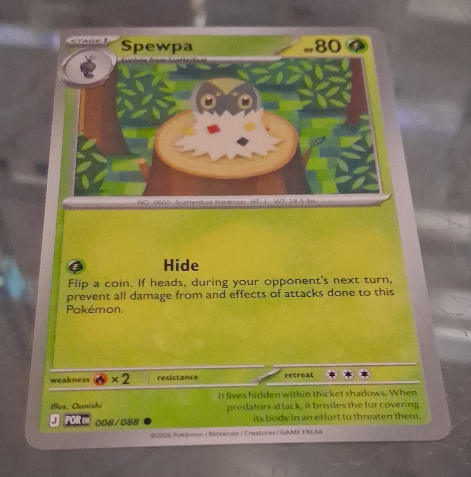 Listing photo for Nintendo Pokemon TCG Spewpa 008/088 Fates Collide Regular Common EN 2016