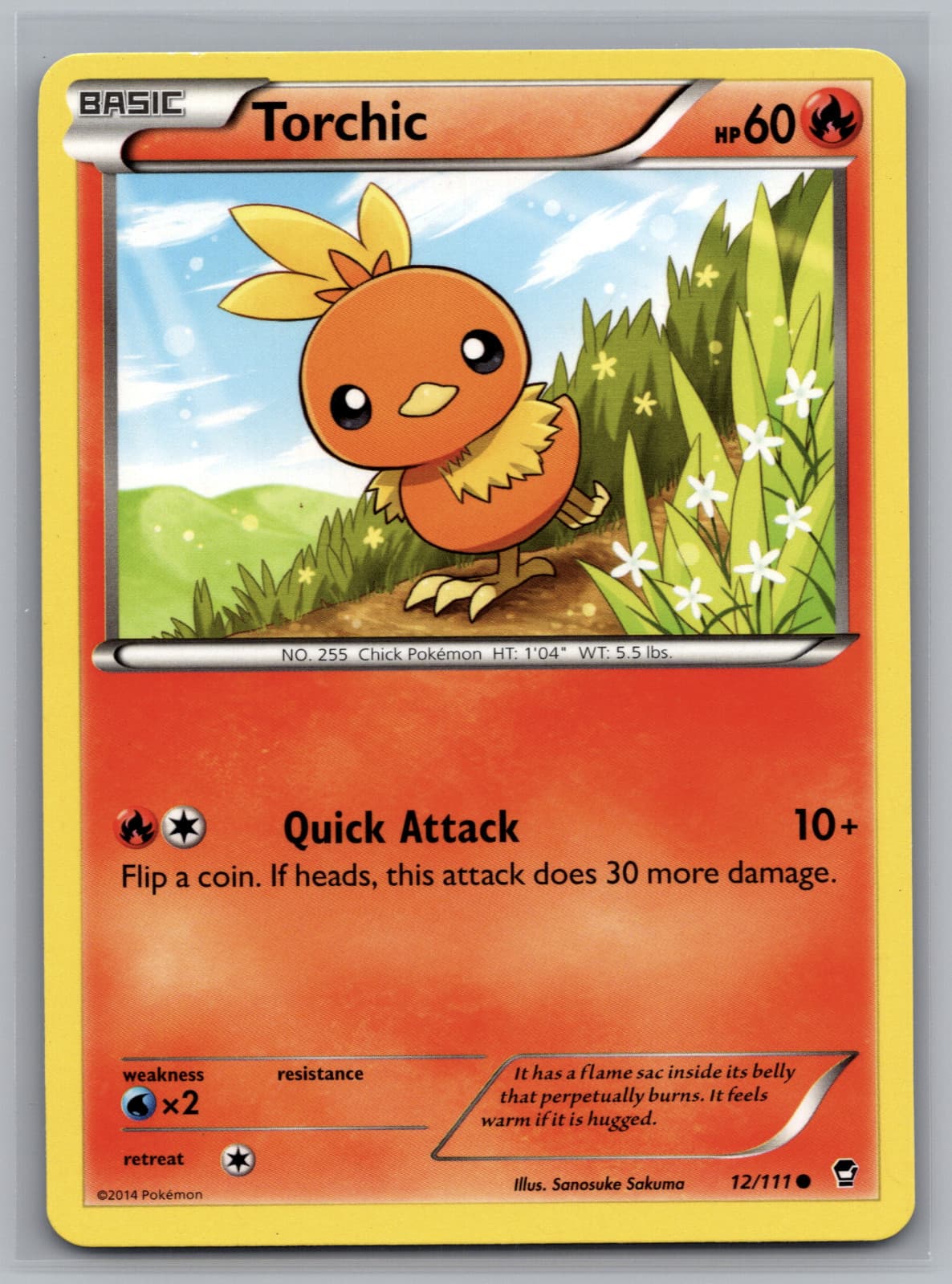Listing photo for Torchic 12/111 - Pokemon XY Furious Fists Card