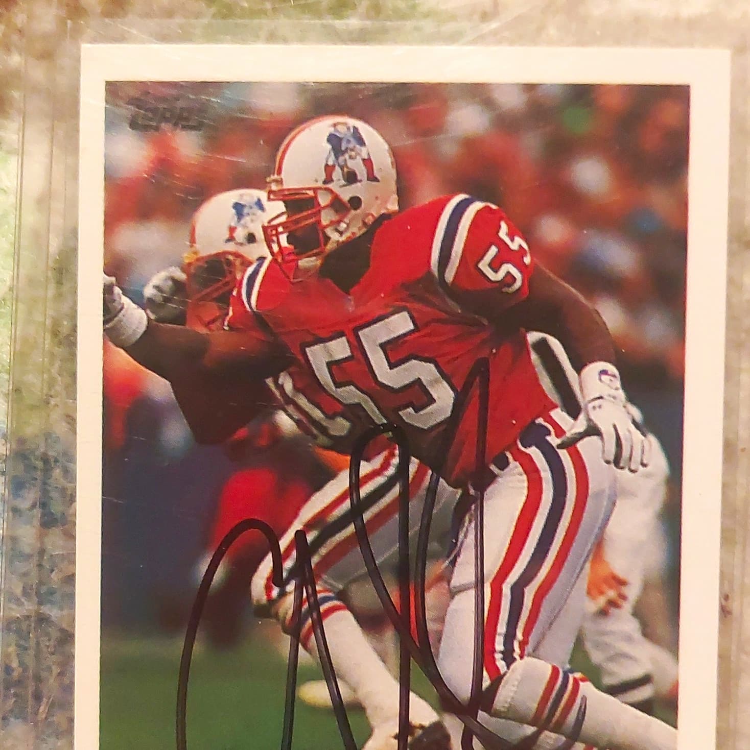 Listing photo for Topps Chris Singleton Auto #428 New England Patriots NFL Football Card