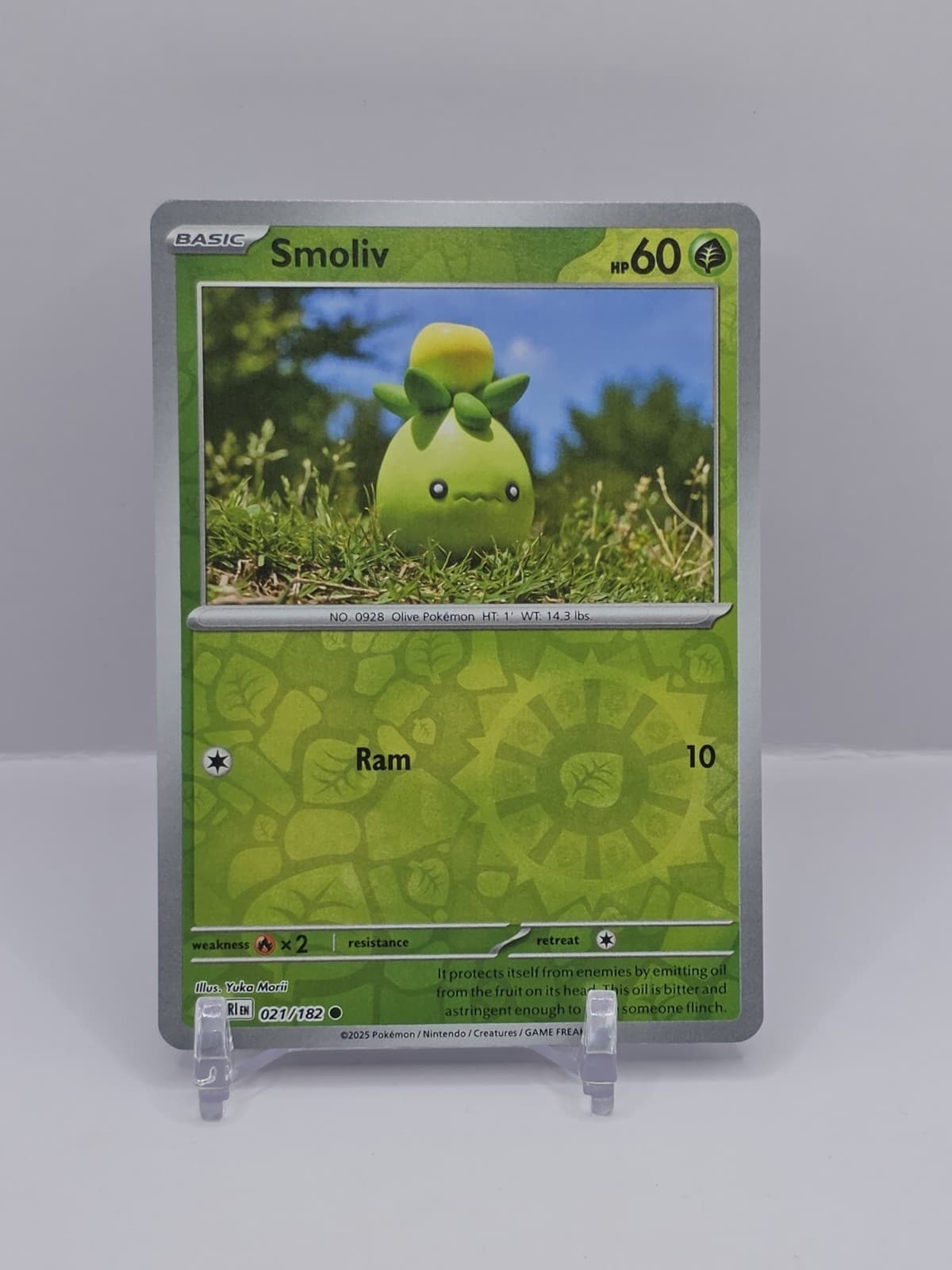 Listing photo for SMOLIV 021/182 C DESTINED RIVALS POKEMON REVERSE HOLO NM/M SMOLIV