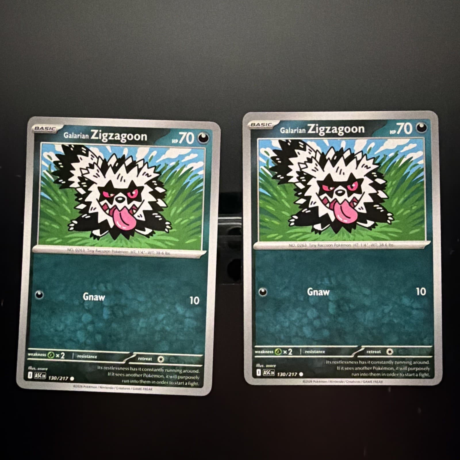 Listing photo for Galarian Zigzagoon 130/217 Me: Ascended Heroes Regular